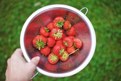 High angle view of hand holding strawberries