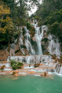 Scenic view of waterfall in forest