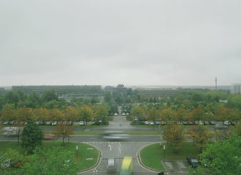 Road along trees