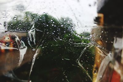 Close-up of wet glass during winter