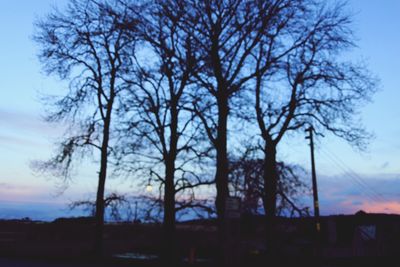 Bare trees on landscape against sky