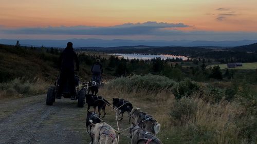 People on field against sky during sunset