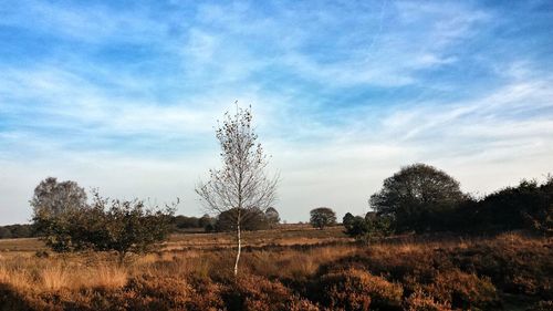 Scenic view of field against cloudy sky