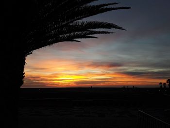 Silhouette palm trees against sky during sunset