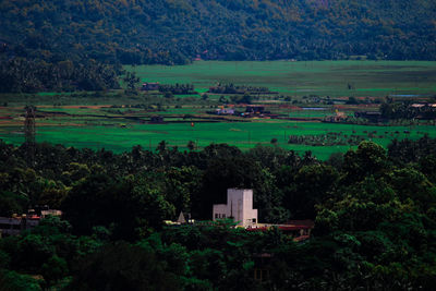 High angle view of trees and buildings