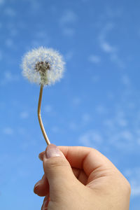 Close-up of hand holding dandelion flower against blue sky