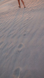 Low section of person on sand at beach