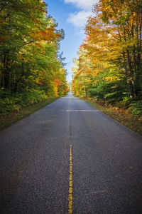 Empty road amidst trees