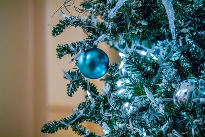 Close-up of christmas tree at home