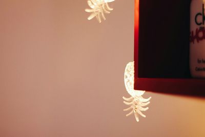 Close-up of illuminated christmas decoration against wall