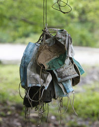 Close-up of damaged tied hanging on tree