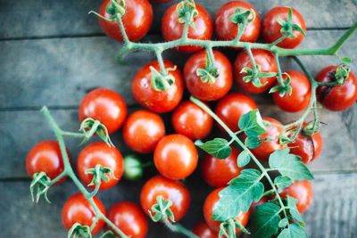 Directly above shot of tomatoes