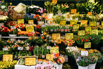 Various flowers for sale at market stall