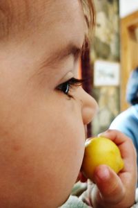 Close-up of boy holding apple