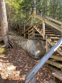 Wooden bridge in forest