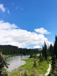 Scenic view of river in forest against sky