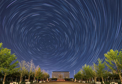 Low angle view of trees against sky at night