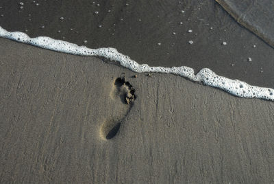 Foot print on beach. sand on summertime