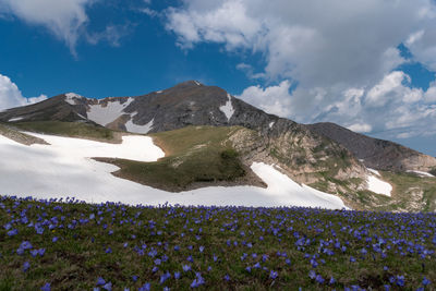 Scenic view of snowcapped mountains against sky