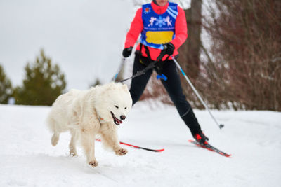 Low section of person with dog on snow