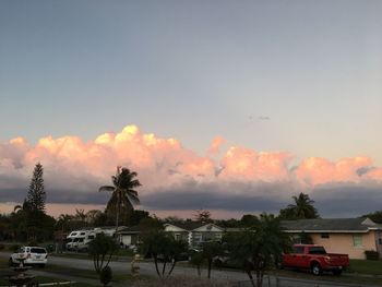 Palm trees against sky during sunset