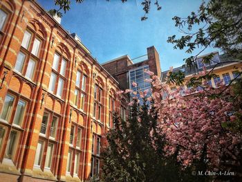 Low angle view of building against sky