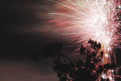 Illuminated firework exploding against sky at night