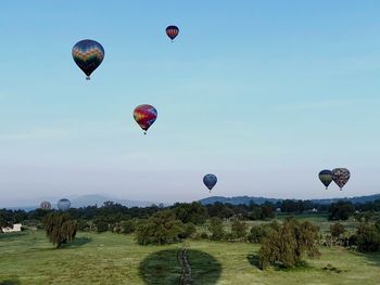 Hot air balloons flying over field against sky