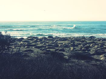 Scenic view of sea against sky