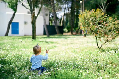 Rear view of woman sitting on field