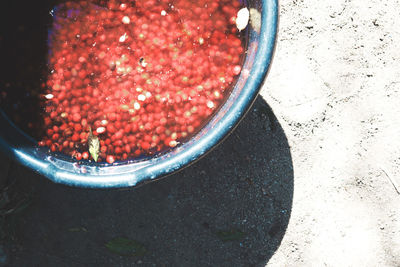 Close up of container