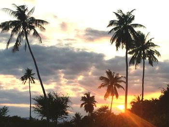 Low angle view of palm trees against romantic sky