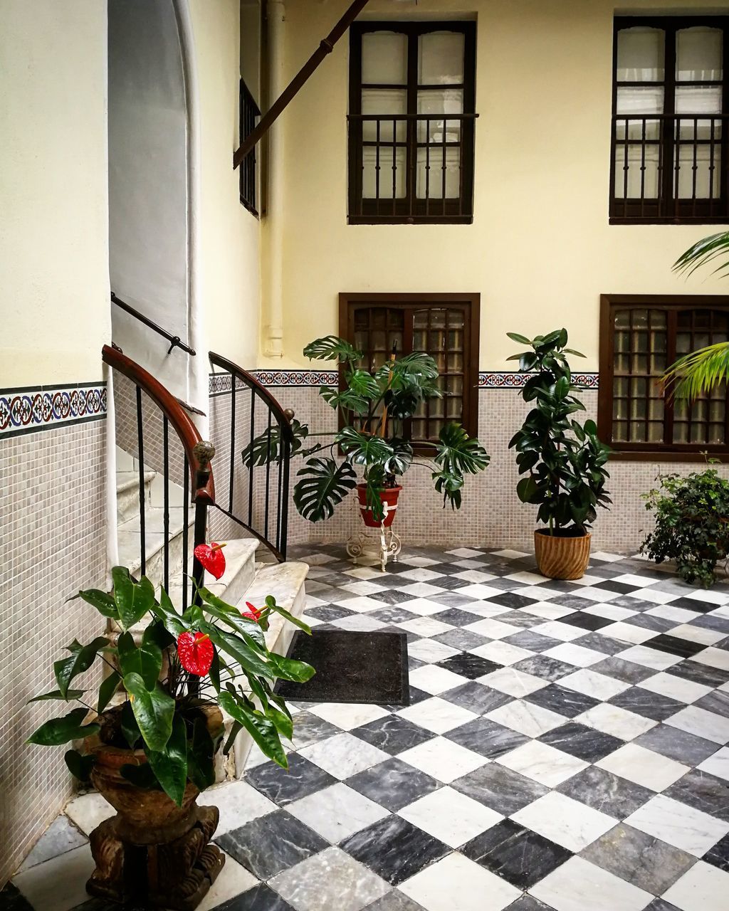 POTTED PLANT ON BUILDING