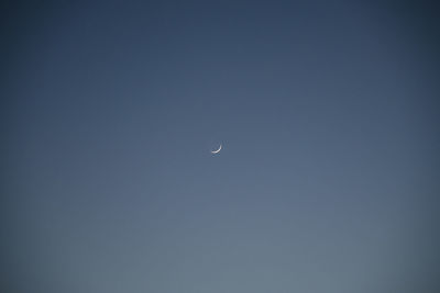 Low angle view of moon against clear sky at night