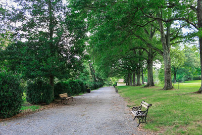 View of trees on landscape