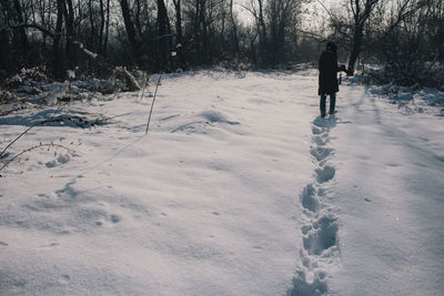 Rear view of man walking in snow