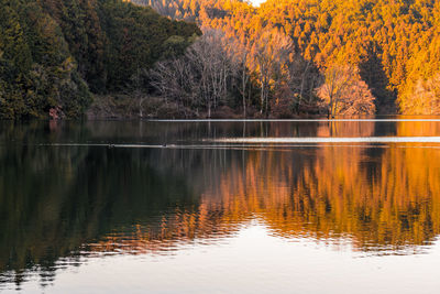 Scenic view of lake during autumn