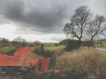 Trees on field against cloudy sky