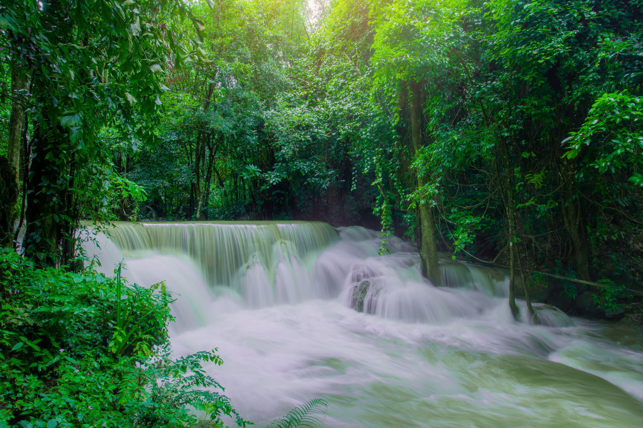 WATERFALL IN FOREST