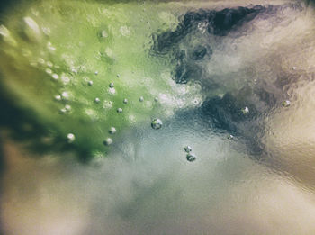 High angle view of bubbles in sea