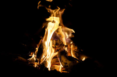 Close-up of fire in the dark