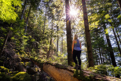 Woman amidst trees in forest