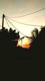 Silhouette trees at sunset