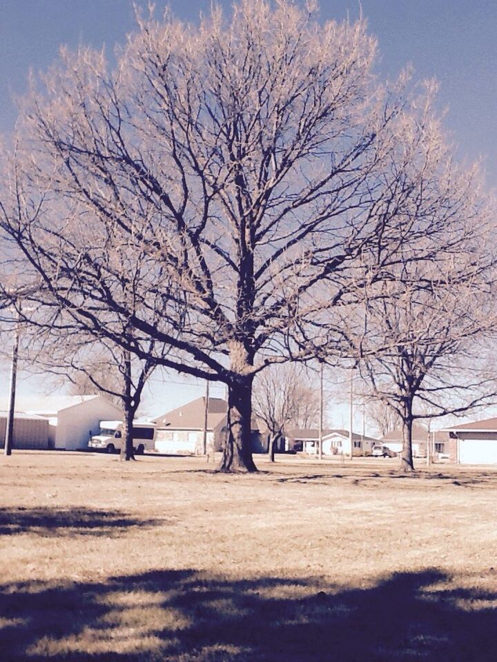 bare tree, tree, branch, sky, building exterior, built structure, architecture, tree trunk, road, nature, tranquility, tranquil scene, house, street, outdoors, landscape, sunlight, day, empty, cloud - sky