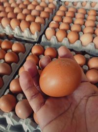 Close-up of hand holding eggs