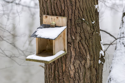 Birdhouse on tree trunk during winter at back yard