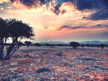 Scenic view of landscape against cloudy sky