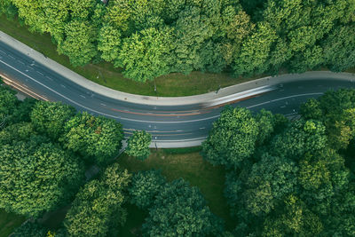 High angle view of road amidst trees