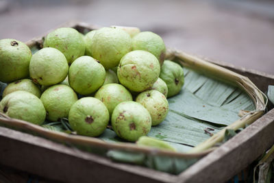 Close-up of stack guava on leaf
