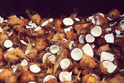 High angle view of shells on wood